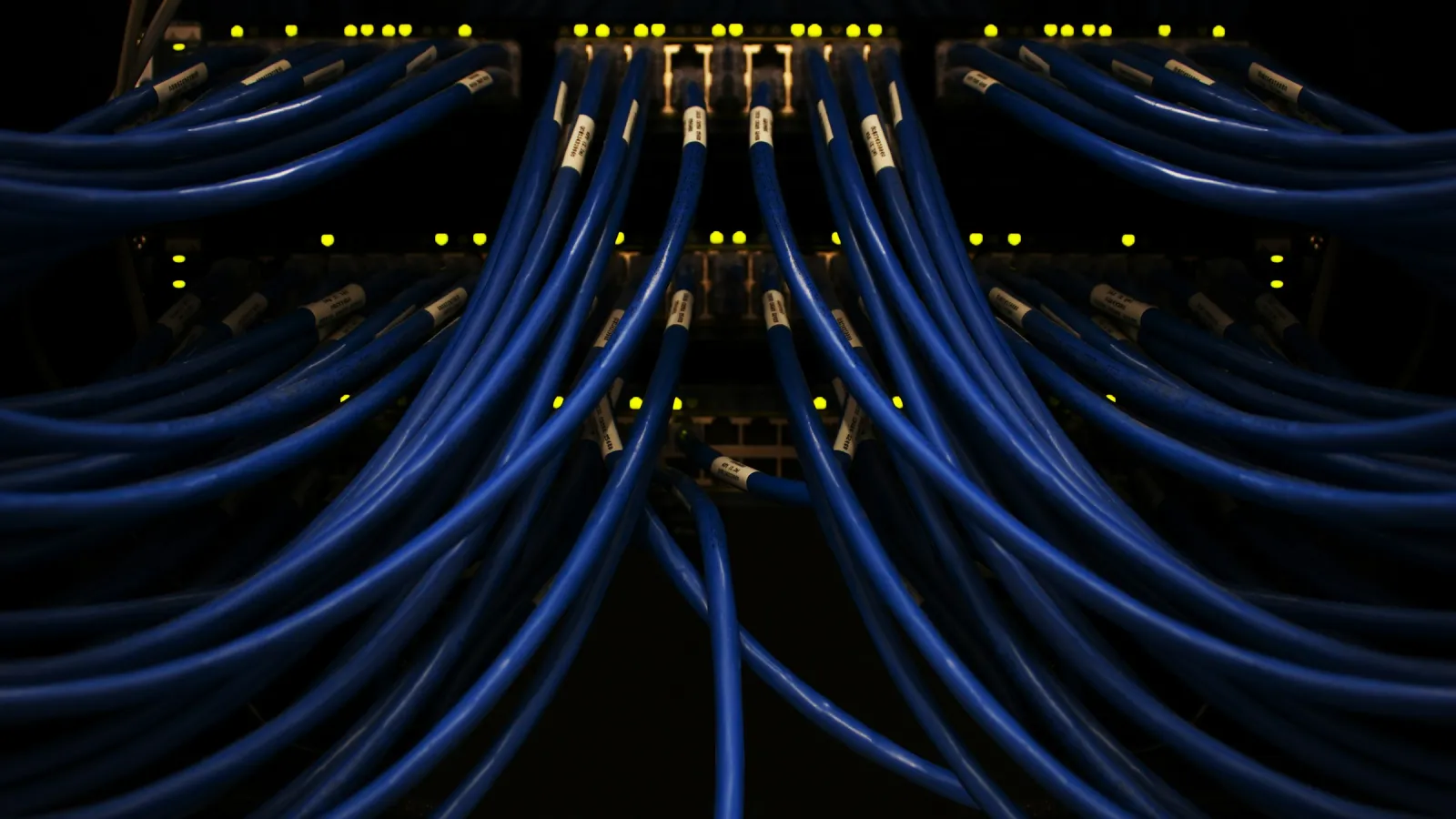 Rows of blue network cables plugged into switches with small green status lights